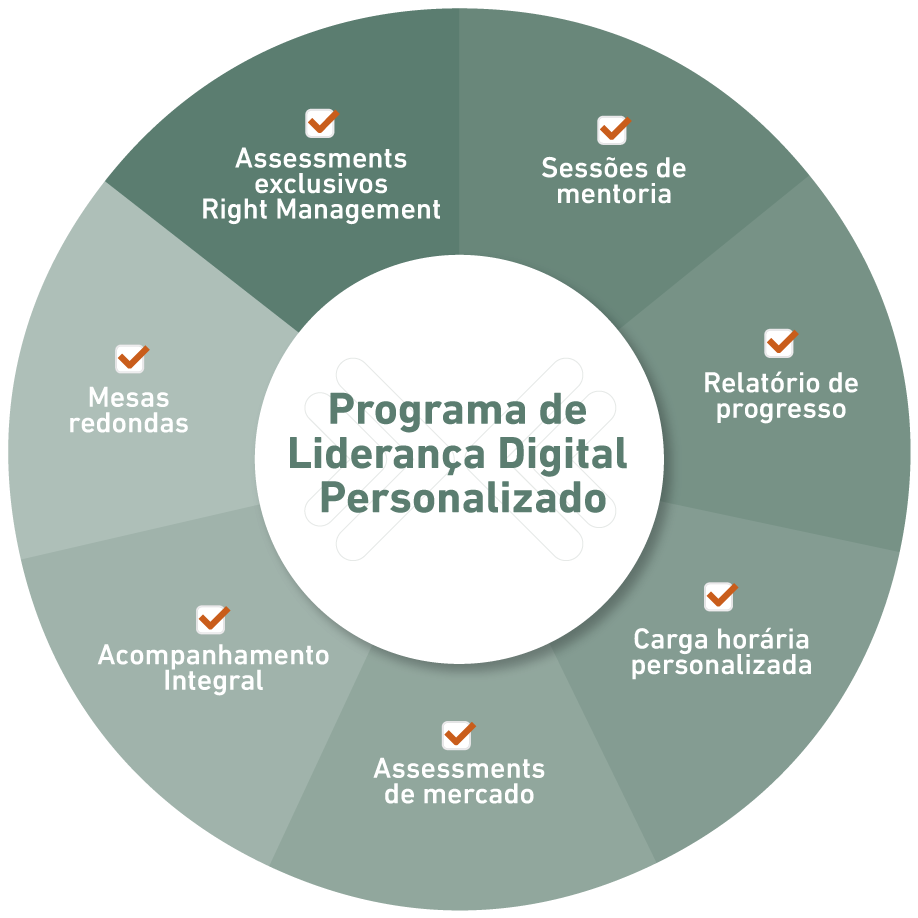 Programa de Liderança Digital personalizado